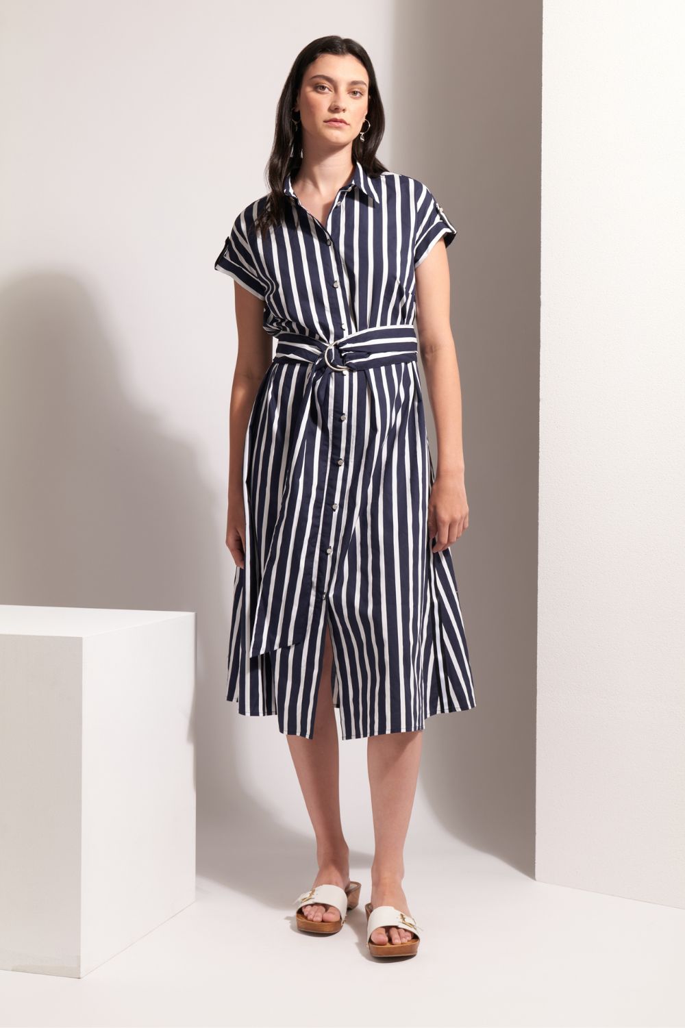 Masterclass Dress | Navy Stripe