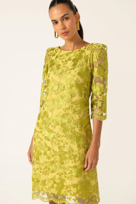 Layla Shift Dress | Chartreus